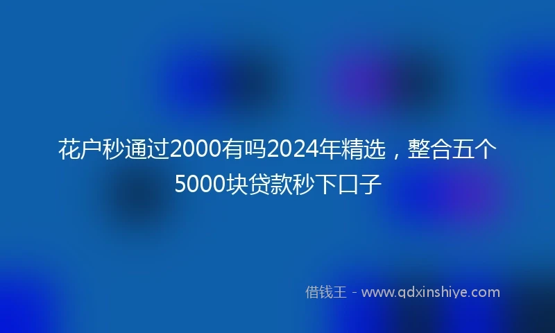 花户秒通过2000有吗2024年精选，整合五个5000块贷款秒下口子
