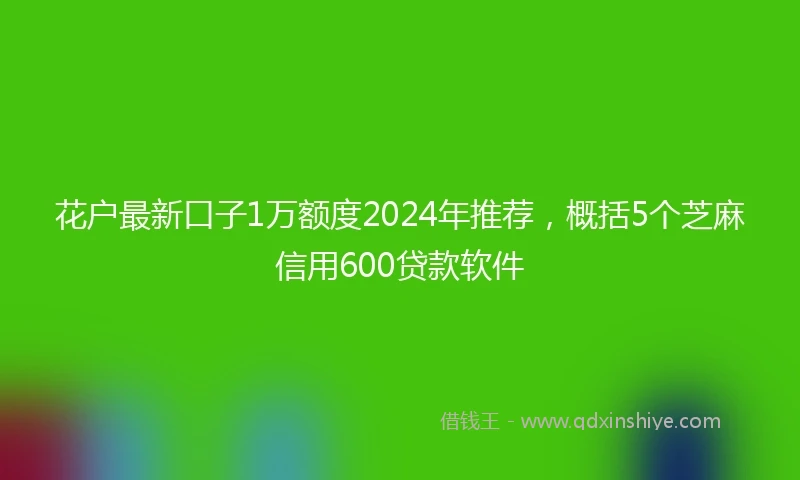 花户最新口子1万额度2024年推荐，概括5个芝麻信用600贷款软件