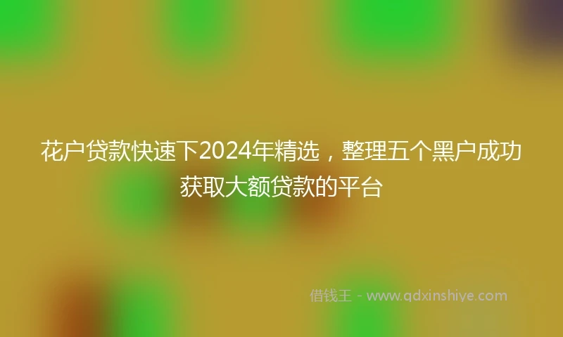 花户贷款快速下2024年精选，整理五个黑户成功获取大额贷款的平台