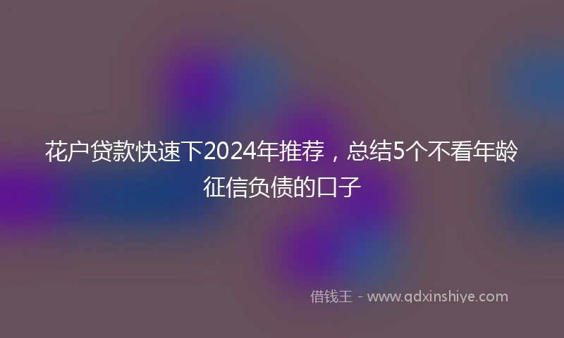 花户贷款快速下2024年推荐，总结5个不看年龄征信负债的口子