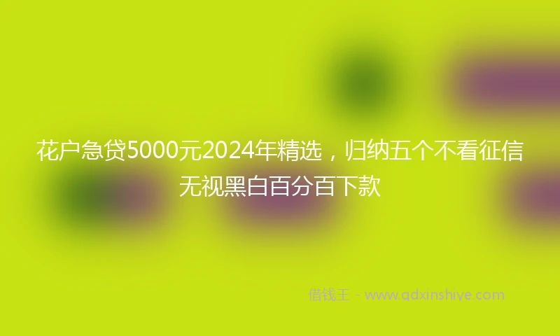 花户急贷5000元2024年精选，归纳五个不看征信无视黑白百分百下款