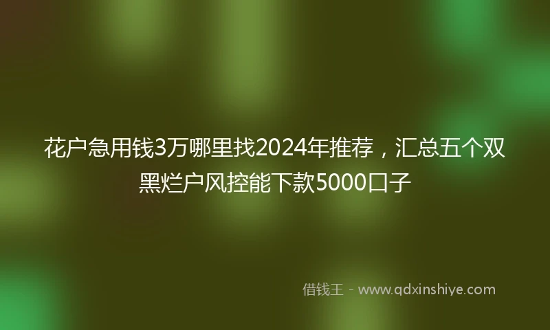 花户急用钱3万哪里找2024年推荐，汇总五个双黑烂户风控能下款5000口子