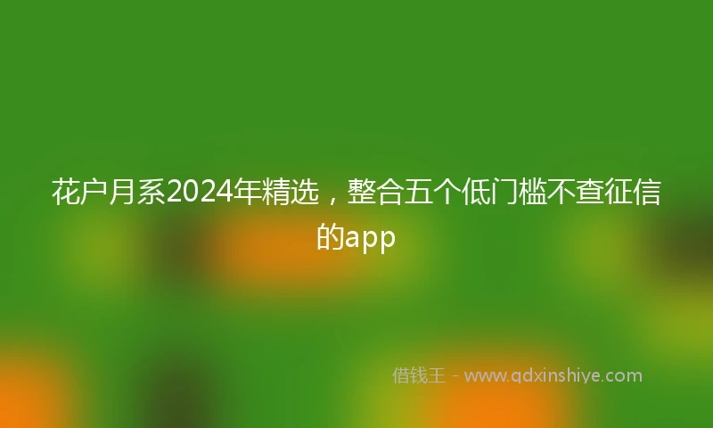 花户月系2024年精选，整合五个低门槛不查征信的app