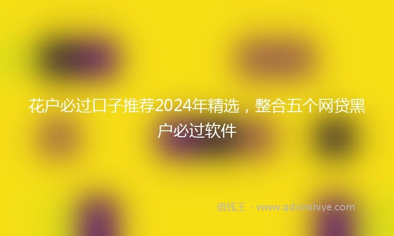 花户必过口子推荐2024年精选，整合五个网贷黑户必过软件