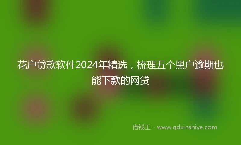 花户贷款软件2024年精选，梳理五个黑户逾期也能下款的网贷