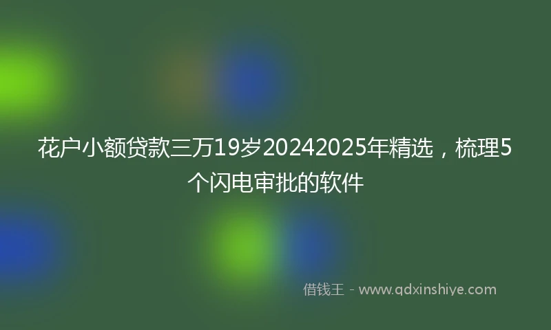 花户小额贷款三万19岁20242025年精选，梳理5个闪电审批的软件
