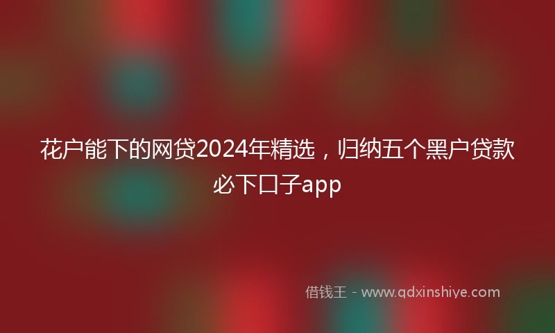 花户能下的网贷2024年精选，归纳五个黑户贷款必下口子app