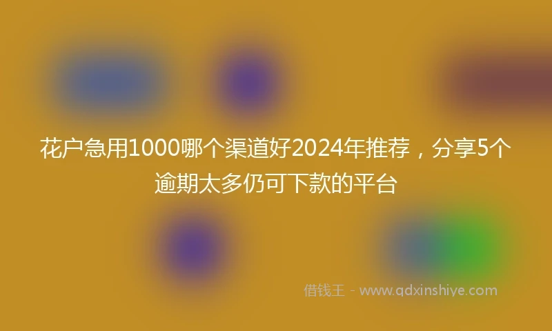 花户急用1000哪个渠道好2024年推荐，分享5个逾期太多仍可下款的平台