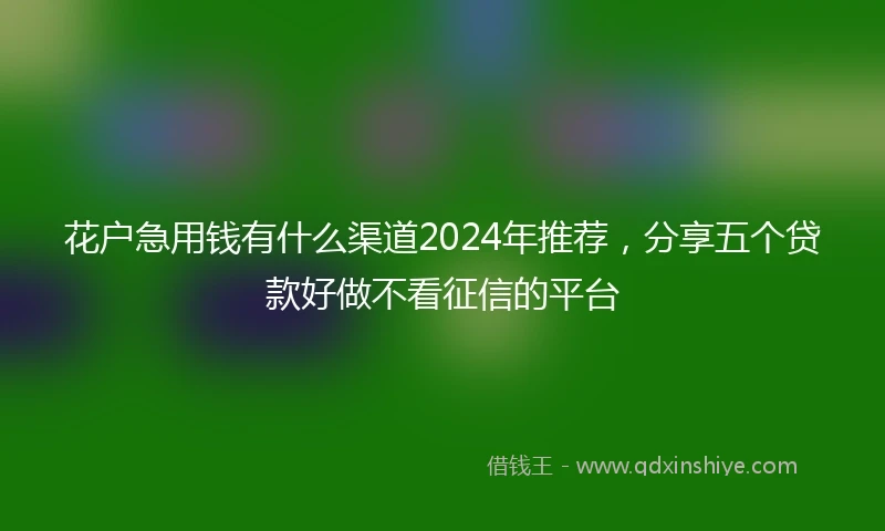 花户急用钱有什么渠道2024年推荐，分享五个贷款好做不看征信的平台
