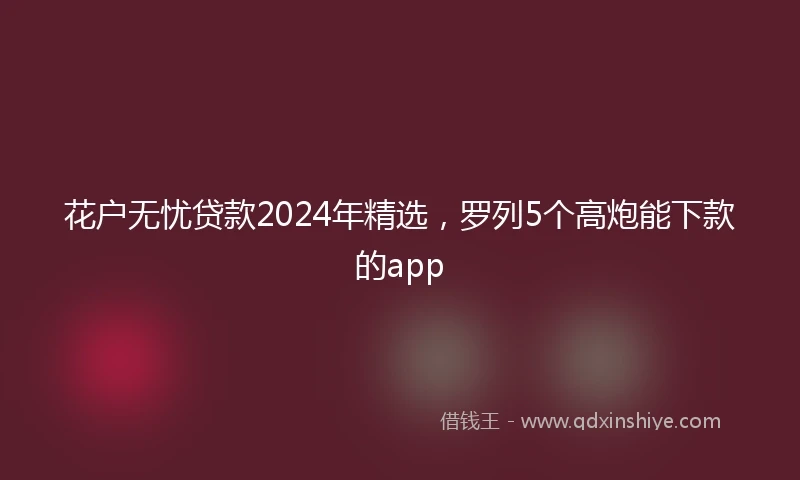 花户无忧贷款2024年精选，罗列5个高炮能下款的app