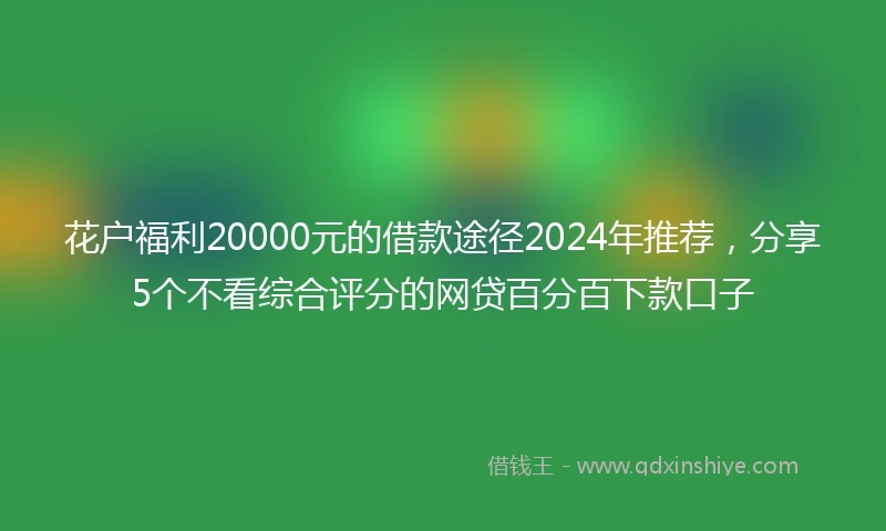 花户福利20000元的借款途径2024年推荐，分享5个不看综合评分的网贷百分百下款口子