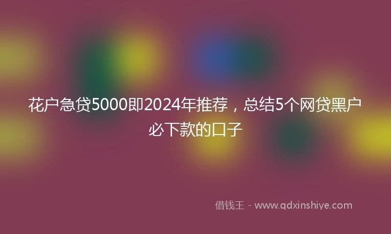 花户急贷5000即2024年推荐，总结5个网贷黑户必下款的口子