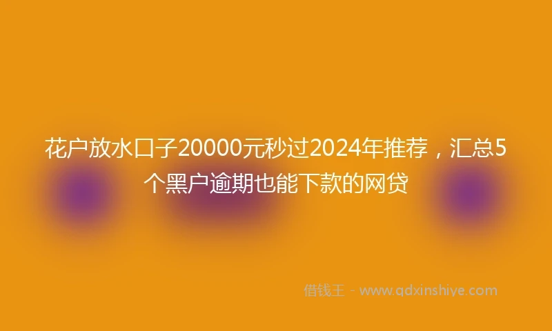 花户放水口子20000元秒过2024年推荐，汇总5个黑户逾期也能下款的网贷