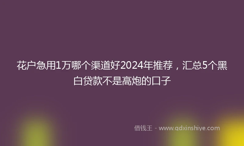 花户急用1万哪个渠道好2024年推荐，汇总5个黑白贷款不是高炮的口子