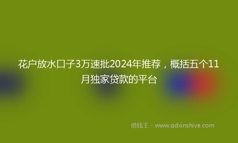 花户放水口子3万速批2024年推荐，概括五个11月独家贷款的平台