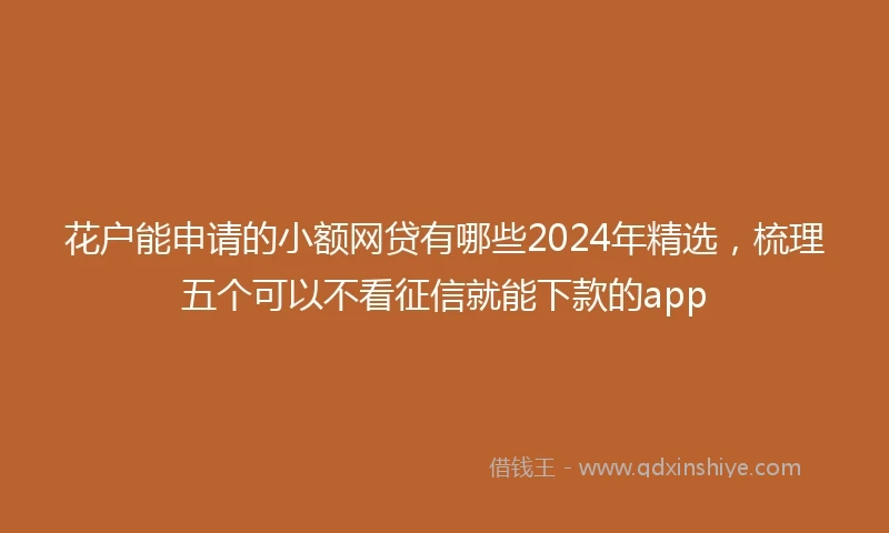 花户能申请的小额网贷有哪些2024年精选，梳理五个可以不看征信就能下款的app