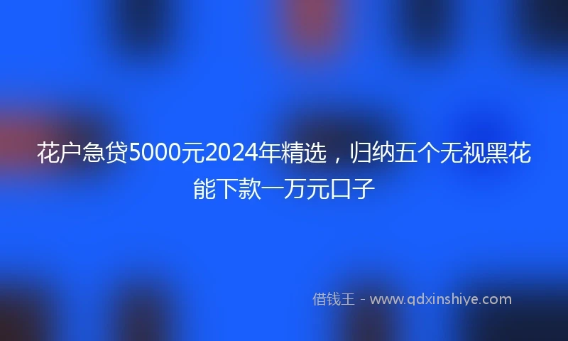 花户急贷5000元2024年精选，归纳五个无视黑花能下款一万元口子