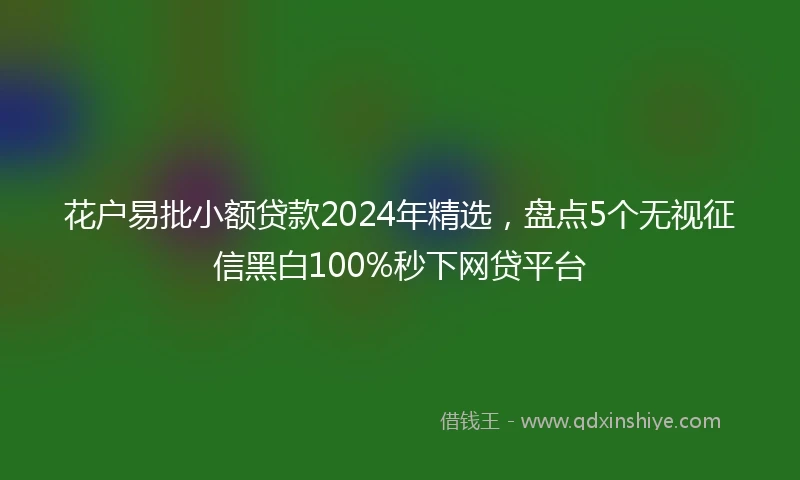花户易批小额贷款2024年精选，盘点5个无视征信黑白100%秒下网贷平台