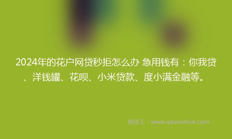 2024年的花户网贷秒拒怎么办 急用钱有：你我贷、洋钱罐、花呗、小米贷款、度小满金融等。