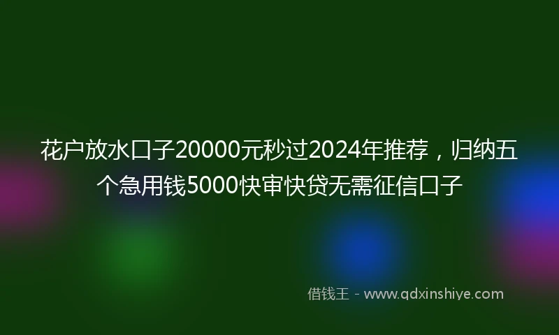 花户放水口子20000元秒过2024年推荐，归纳五个急用钱5000快审快贷无需征信口子