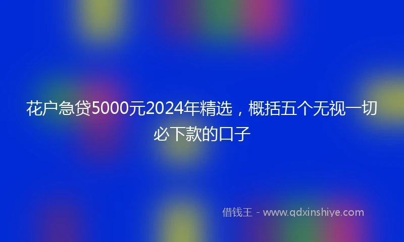 花户急贷5000元2024年精选，概括五个无视一切必下款的口子