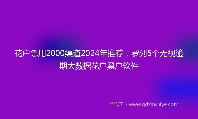 花户急用2000渠道2024年推荐，罗列5个无视逾期大数据花户黑户软件