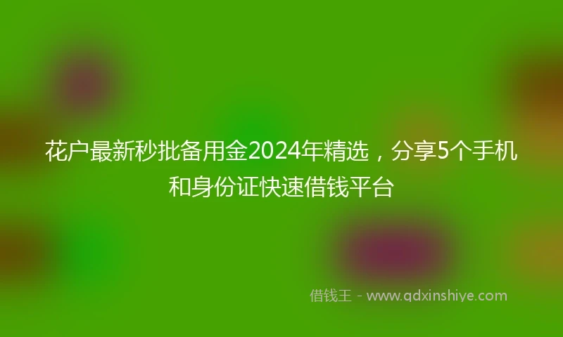 花户最新秒批备用金2024年精选，分享5个手机和身份证快速借钱平台
