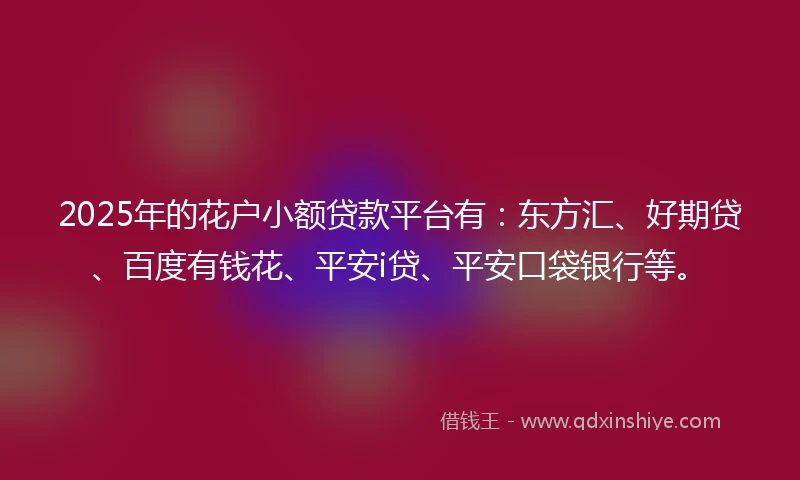 2025年的花户小额贷款平台有：东方汇、好期贷、百度有钱花、平安i贷、平安口袋银行等。