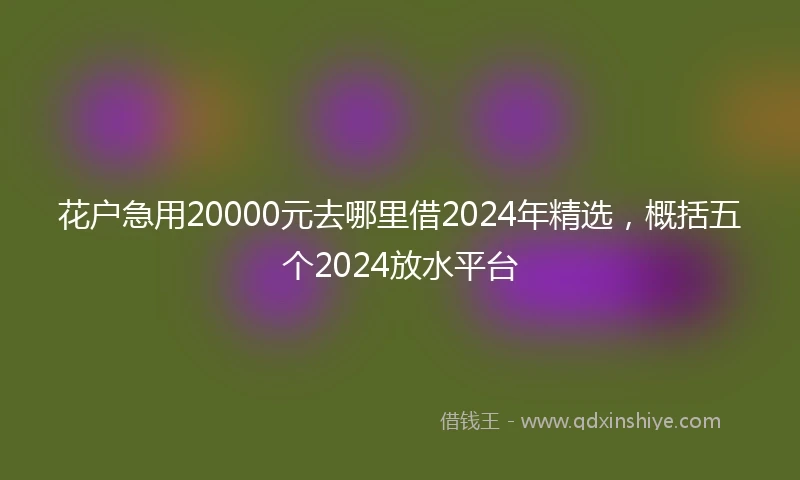 花户急用20000元去哪里借2024年精选，概括五个2024放水平台