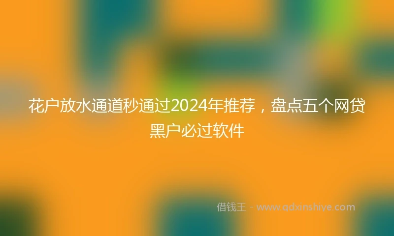 花户放水通道秒通过2024年推荐，盘点五个网贷黑户必过软件