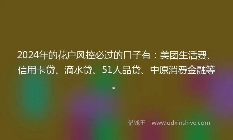2024年的花户风控必过的口子有：美团生活费、信用卡贷、滴水贷、51人品贷、中原消费金融等。