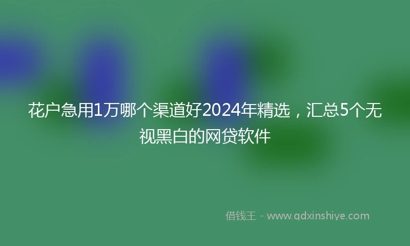 花户急用1万哪个渠道好2024年精选，汇总5个无视黑白的网贷软件