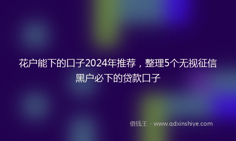 花户能下的口子2024年推荐，整理5个无视征信黑户必下的贷款口子