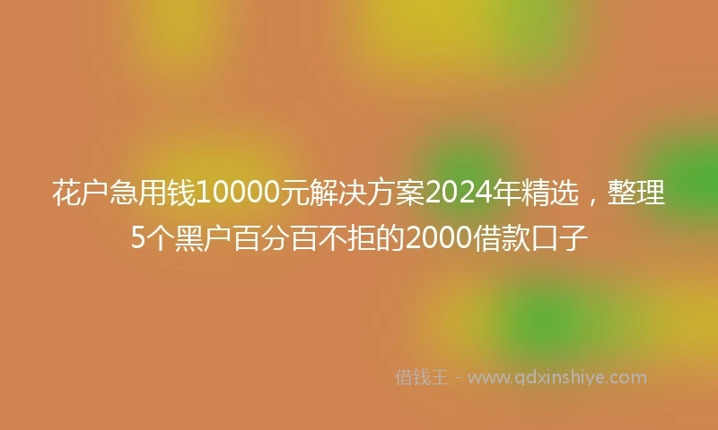 花户急用钱10000元解决方案2024年精选,整理5个黑户百分百不拒的2000借款口子