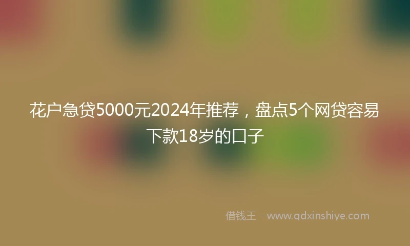 花户急贷5000元2024年推荐，盘点5个网贷容易下款18岁的口子