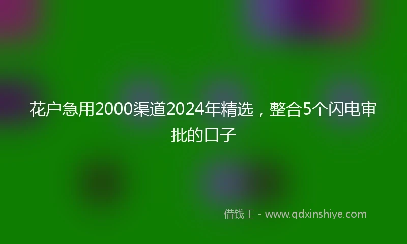 花户急用2000渠道2024年精选，整合5个闪电审批的口子