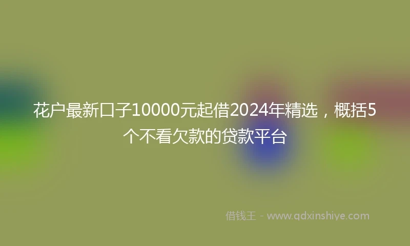 花户最新口子10000元起借2024年精选，概括5个不看欠款的贷款平台