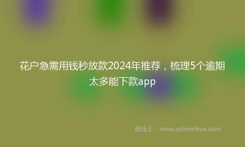 花户急需用钱秒放款2024年推荐，梳理5个逾期太多能下款app