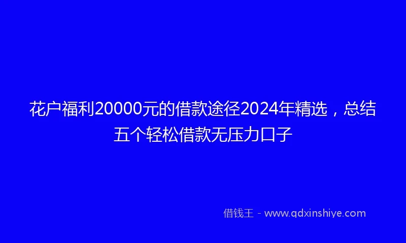 花户福利20000元的借款途径2024年精选，总结五个轻松借款无压力口子