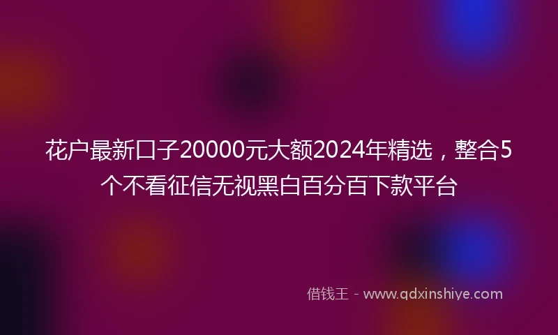 花户最新口子20000元大额2024年精选，整合5个不看征信无视黑白百分百下款平台