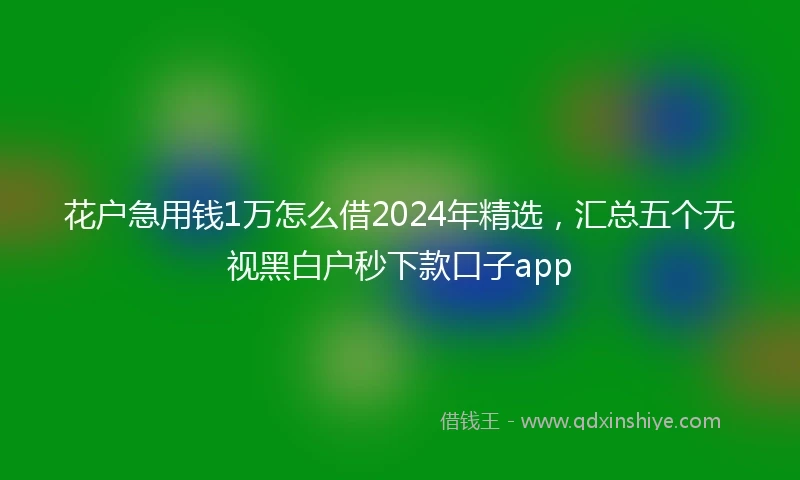花户急用钱1万怎么借2024年精选，汇总五个无视黑白户秒下款口子app