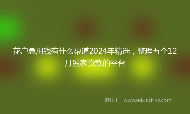花户急用钱有什么渠道2024年精选，整理五个12月独家贷款的平台