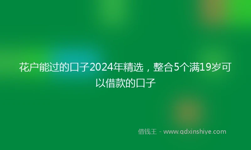 花户能过的口子2024年精选，整合5个满19岁可以借款的口子