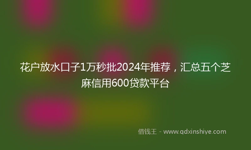 花户放水口子1万秒批2024年推荐，汇总五个芝麻信用600贷款平台