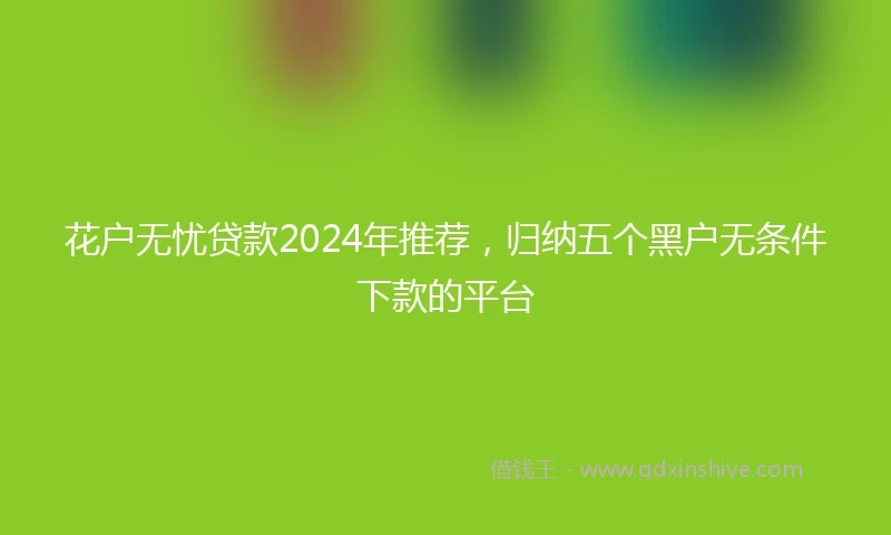 花户无忧贷款2024年推荐，归纳五个黑户无条件下款的平台