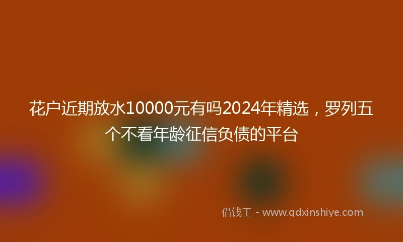 花户近期放水10000元有吗2024年精选，罗列五个不看年龄征信负债的平台