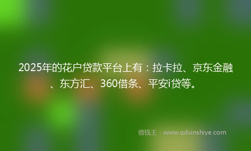 2025年的花户贷款平台上有：拉卡拉、京东金融、东方汇、360借条、平安i贷等。