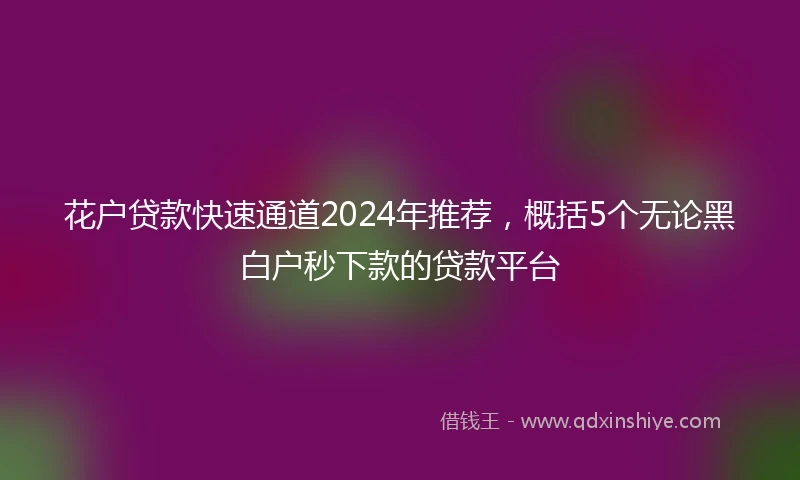 花户贷款快速通道2024年推荐，概括5个无论黑白户秒下款的贷款平台