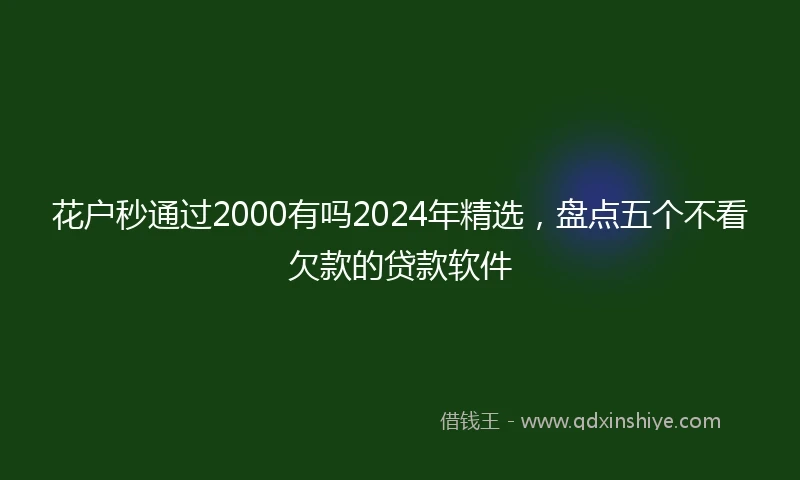 花户秒通过2000有吗2024年精选，盘点五个不看欠款的贷款软件