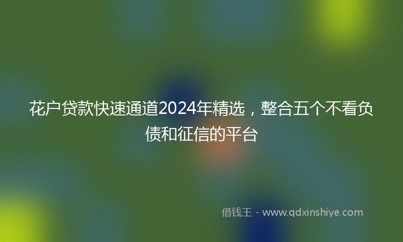 花户贷款快速通道2024年精选，整合五个不看负债和征信的平台